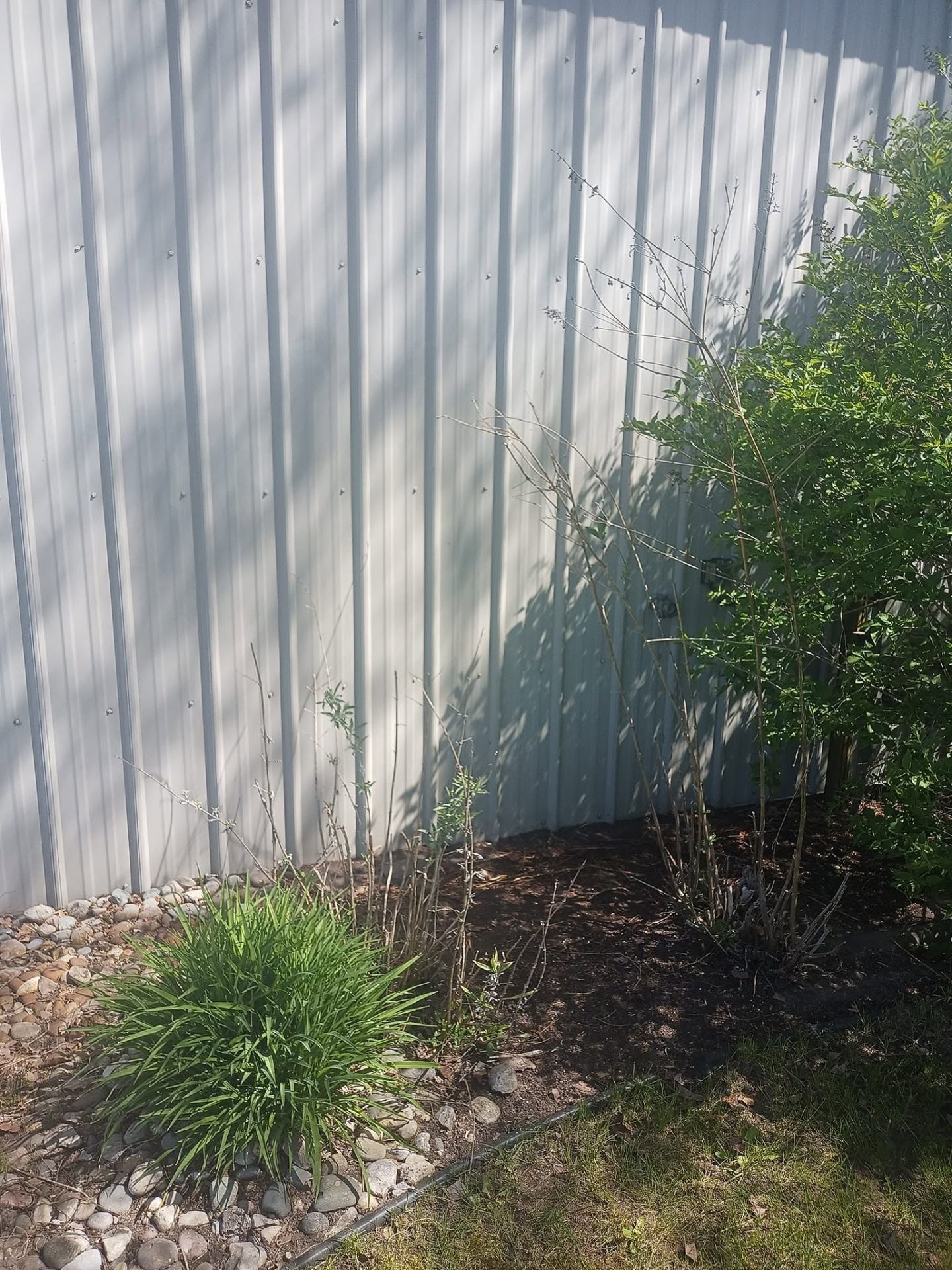 Tru North recent power washing project